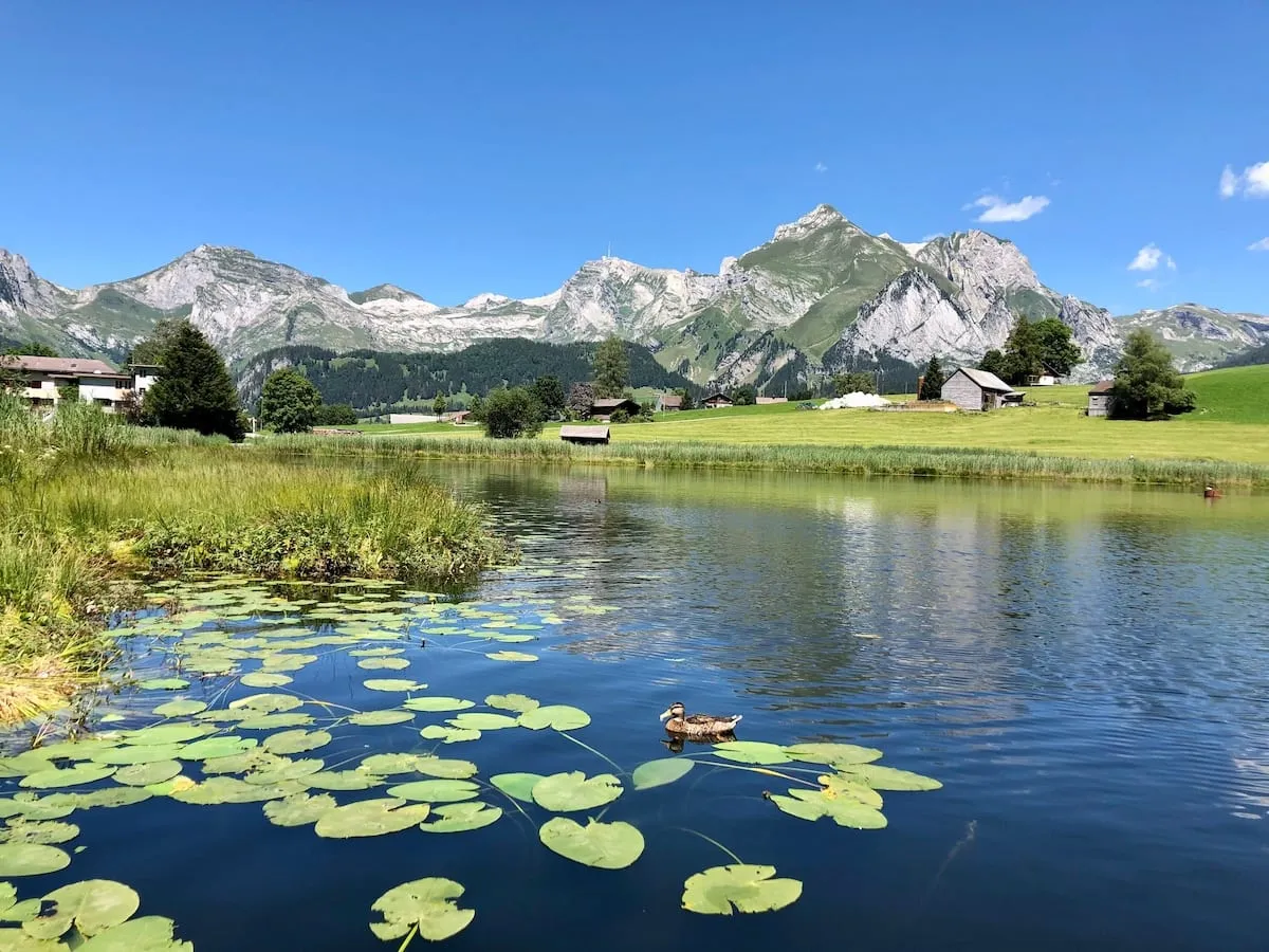 Schwendisee – Badesee mit Bergpanorama in Gehdistanz